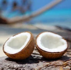 Coconut Paradise Charcoal Soap