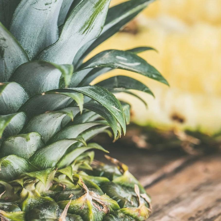 Pineapple Lip Balm