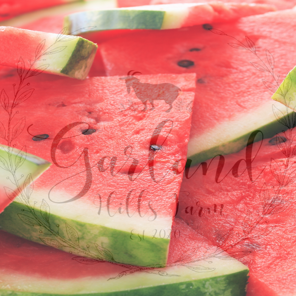 Watermelon Sugar Soap