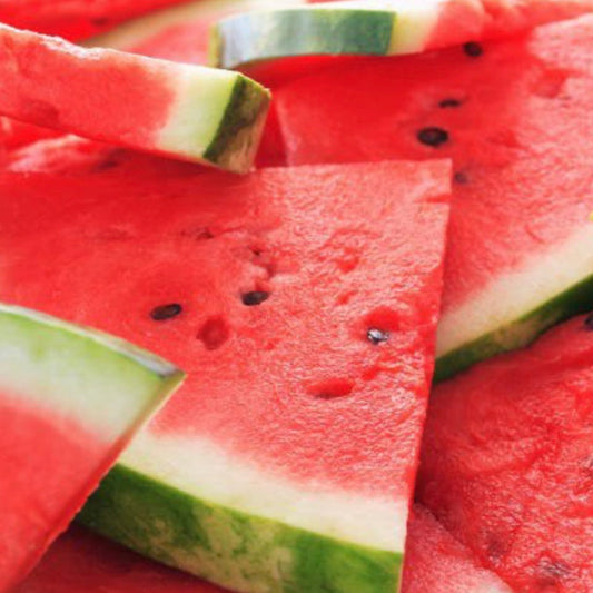 Watermelon Sugar Lotion
