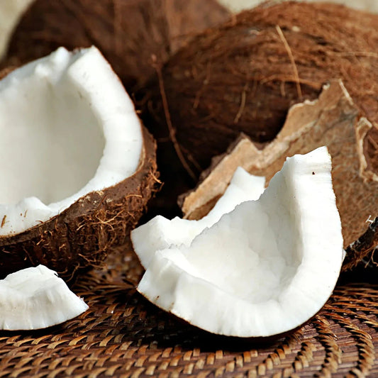 Coconut Lip Balm