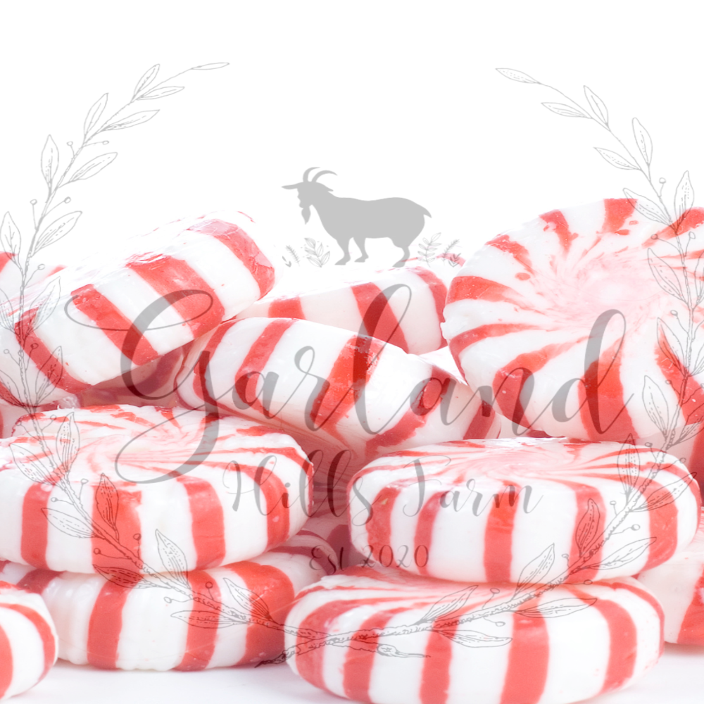 Peppermint Swirl Soap