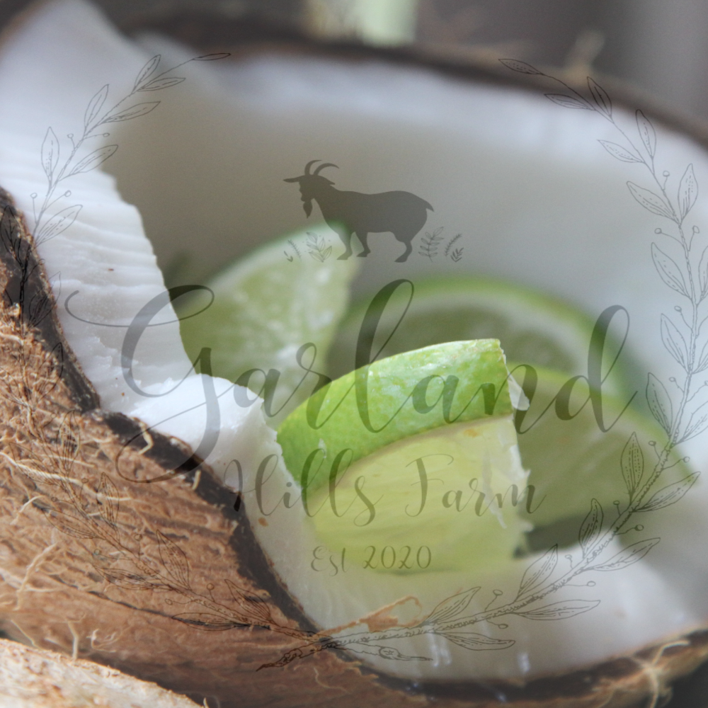 Coconut Lime Soap