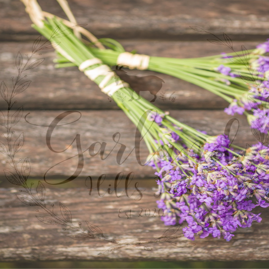 Lavender Soap