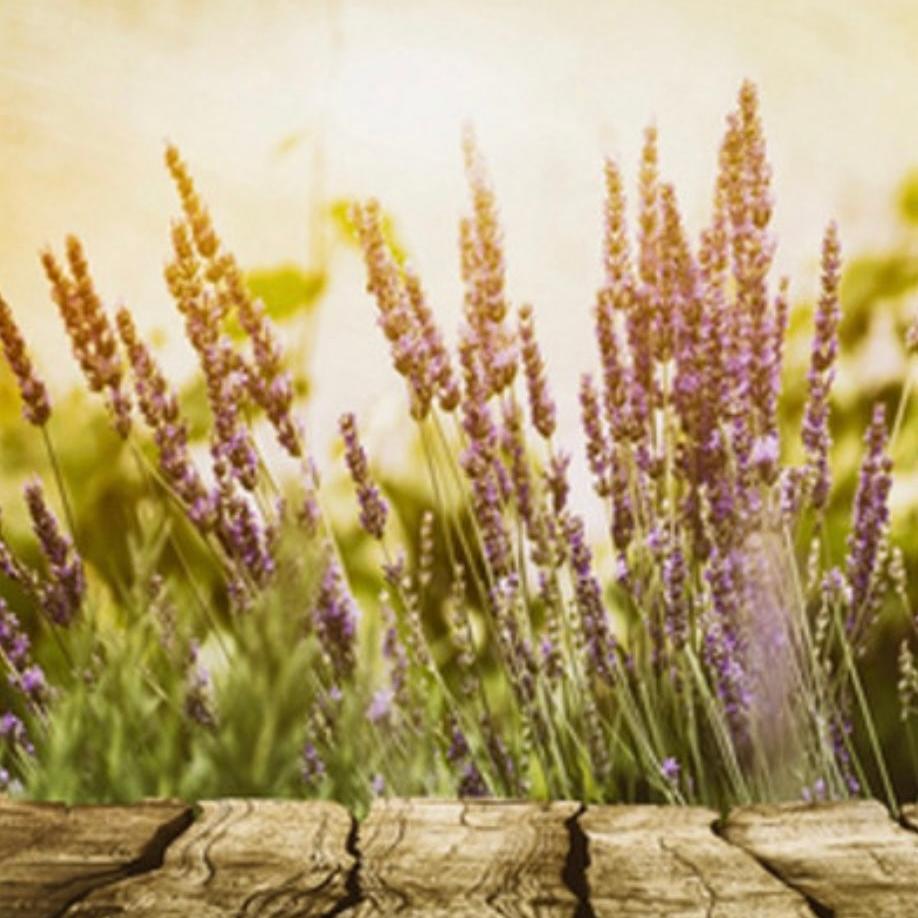 Lavender & Cedar Soap